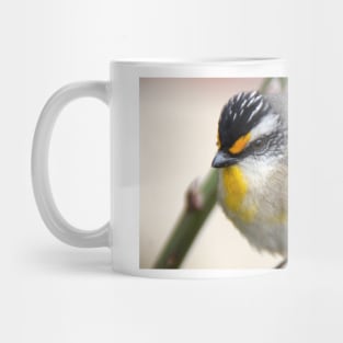 Striated Pardalote   - Adelaide Hills - Fleurieu Peninsula by South Australian artist Avril Thomas Mug